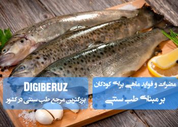 مضرات و فواید ماهی برای کودکان از نگاه طب سنتی | نکات مهم در انتخاب و مصرف ماهی برای سلامت کودکان