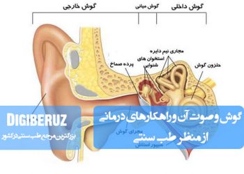 بررسی ساختار گوش و صوت آن با راهکارهای درمانی طب سنتی شامل ماساژ و داروهای گیاهی ضد التهاب