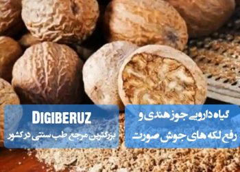 گیاه دارویی جوز هندی و کاربرد آن در طب سنتی برای رفع لکههای جوش صورت و بهبود سلامت پوست