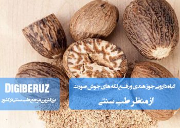 گیاه دارویی جوز هندی در طب سنتی برای رفع لکه‌های جوش صورت با خواص ضدالتهاب و تنظیم ترشحات پوست