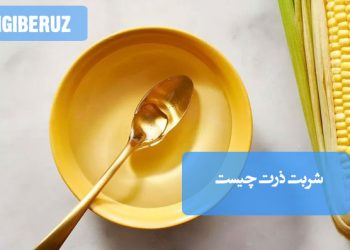 شربت ذرت: بررسی انواع و خواص برای انتخاب مناسب این شیرین‌کننده.