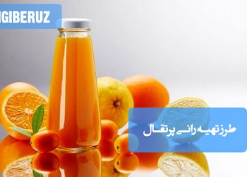رانی پرتقال طبیعی: آموزش گام به گام برای تهیه این نوشیدنی میوهای.