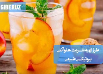 شربت هلو آنتی‌بیوتیک طبیعی: راهنمای انتخاب بهترین طرز تهیه برای تقویت ایمنی