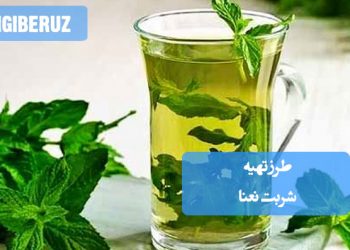 شربت نعنا: طرز تهیه نوشیدنی خنک و گوارا برای رفع عطش تابستان