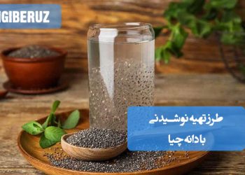 نوشیدنی دانه چیا: طرز تهیه آسان برای انرژی، فیبر و هیدراتاسیون.