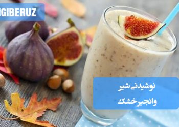 شیر و انجیر خشک: طرز تهیه نوشیدنی مقوی، انرژی‌بخش و سرشار از فیبر