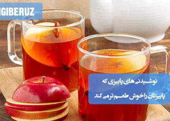 نوشیدنیهای پاییزی: طعمدهنده دلپذیر پاییز شما، گرم و دلچسب