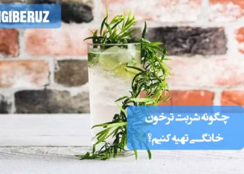 طرز تهیه شربت ترخون خانگی با خواص گوارشی و آرام‌بخش، نوشیدنی سنتی مفید برای هضم غذا
