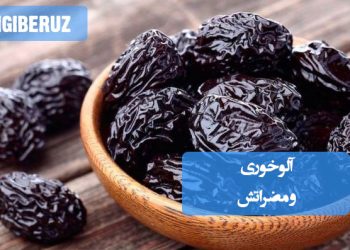 "آلو در طب سنتی؛ سرشار از فیبر و آنتی‌اکسیدان‌ها، مفید برای هضم، اما مصرف زیاد ممکن است باعث ضعف معده و اسهال شود