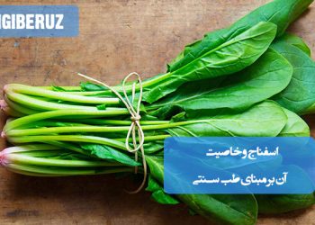 بررسی خواص اسفناج در طب سنتی؛ گیاهی غنی از آهن و ویتامین‌ها، مفید برای سیستم ایمنی، گوارش و کاهش التهاب‌های بدن