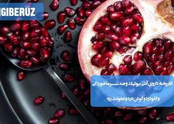 انارپخته؛ داروی آنتیبیوتیک طبیعی برای درمان سرماخوردگی، گلودرد، گوشدرد و عفونت ریه، با خواص ضدالتهابی و تقویت سیستم ایمنی