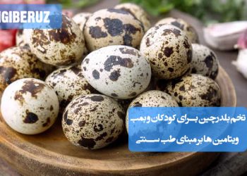 انتخاب تخم بلدرچین برای کودکان در طب سنتی؛ منبع غنی از ویتامینهای A، B، D و E، تقویت سیستم ایمنی، افزایش رشد ذهنی و فیزیکی، بهبود عملکرد مغز و کاهش حساسیتهای غذایی