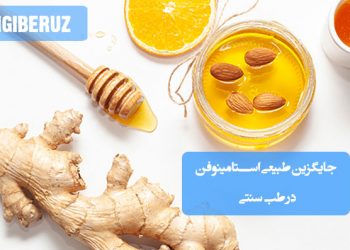 جایگزین‌های طبیعی استامینوفن در طب سنتی؛ تأثیر گیاهان دارویی مانند زردچوبه، زنجبیل، میخک، پونه کوهی و عصاره برگ زیتون در کاهش التهاب و تسکین درد