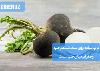 ترب سیاه در طب سنتی؛ گیاهی مفید برای دفع سنگ کلیه و صفرا، سرشار از آنتی‌اکسیدان‌ها، تقویت‌کننده گوارش و پاک‌سازی‌کننده بدن
