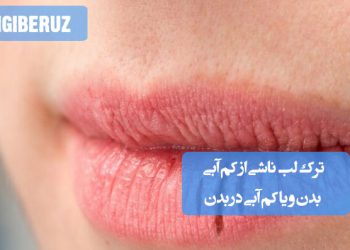درمان ترک لب ناشی از کم‌آبی بدن با روش‌های طبیعی و طب سنتی برای حفظ سلامت پوست لب‌ها
