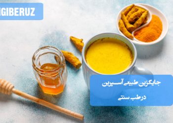 جایگزین‌های طبیعی آسپرین در طب سنتی؛ تأثیر گیاهان دارویی مانند زنجبیل، زردچوبه، چای قرمز، آب انار و عرق کاسنی در کاهش التهاب و بهبود گردش خون