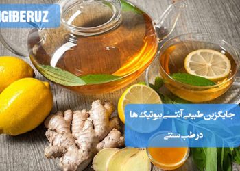جایگزین‌های طبیعی آنتی‌بیوتیک در طب سنتی؛ تأثیر گیاهان دارویی مانند سیر، زنجبیل، عسل، پونه کوهی و عصاره برگ زیتون در مقابله با عفونت‌ها و تقویت سیستم ایمنی