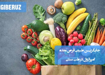 جایگزینهای طبیعی قرص معده امپرازول در طب سنتی؛ گیاهان دارویی مانند آلوئهورا، شیرینبیان، زیره، زرشک و روغن درخت نارون برای بهبود مشکلات گوارشی