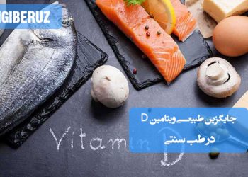 جایگزینهای طبیعی ویتامین D در طب سنتی؛ منابع غنی شامل نور خورشید، ماهی سالمون، تخممرغ، روغن کبد ماهی، قارچ و لبنیات غنیشده