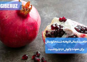 انار پخته‌شده با پوست در طب سنتی؛ دارای خواص ضدالتهابی، مفید برای درمان عفونت‌ها، کاهش درد گوش و بهبود علائم برونشیت