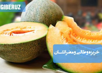 مضرات مصرف خربزه و طالبی در طب سنتی؛ نکات مهم درباره هضم، حساسیت‌ها و زمان مناسب خوردن این میوه‌ها