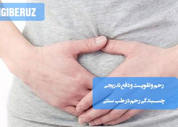 تقویت و دفع تدریجی چسبندگی رحم در طب سنتی؛ استفاده از گیاهان دارویی، اصلاح تغذیه، پاکسازی بدن، تنظیم مزاج و روشهای طبیعی بهبود