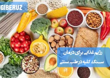 رژیم غذایی طب سنتی برای درمان و پیشگیری سنگ کلیه شامل خوراکیها و نوشیدنیهای مفید برای سلامت کلیه
