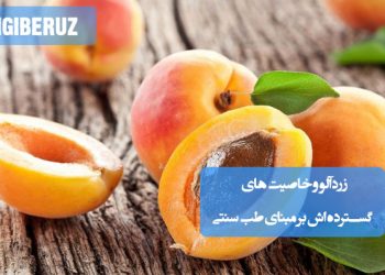 خواص زردآلو در طب سنتی؛ تقویت قلب، بهبود بینایی، تنظیم هورمونها، افزایش انرژی، سلامت پوست، کمک به هضم، تقویت استخوانها و کاهش التهاب