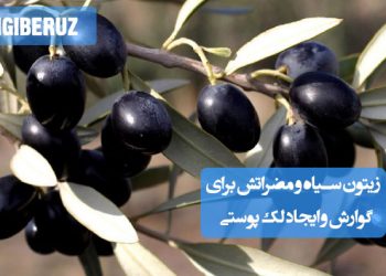 مضرات زیتون سیاه؛ ممکن است باعث مشکلات گوارشی مانند نفخ و اسهال شود، همچنین مصرف زیاد آن میتواند موجب لکهای پوستی و حساسیتهای پوستی گردد