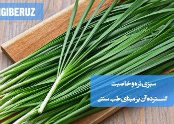 تره در طب سنتی؛ گیاهی سرشار از ویتامینها، تقویتکننده گوارش، تصفیهکننده خون، مفید برای سلامت قلب و کاهش التهاب