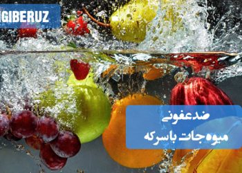 ضدعفونی میوه‌جات با سرکه؛ روش طبیعی برای حذف میکروب‌ها و آلودگی‌ها، کمک به حفظ تازگی، بدون استفاده از مواد شیمیایی مضر