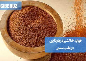 فواید خاکشیر در بارداری؛ کمک به بهبود یبوست، تنظیم گوارش، کاهش گرگرفتگی، تقویت سلامت جنین و تسهیل زایمان طبیعی.