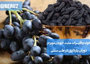 فواید خوردن مویز در دوران بارداری از دیدگاه طب سنتی؛ تقویت حافظه و هوش جنین، بهبود سیستم عصبی، تأمین انرژی مادر، کاهش استرس و کمک به رشد سلولی