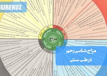 مزاج شناسی رحم در طب سنتی؛ بررسی مزاج گرم، سرد، معتدل و تر، تأثیر تغذیه، سبک زندگی و روش‌های طبیعی تنظیم مزاج رحم