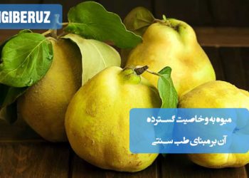 خواص میوه به در طب سنتی؛ تقویت سیستم ایمنی، بهبود گوارش، تنظیم فشار خون، سلامت پوست، کاهش التهاب، تقویت قلب، رفع بیخوابی و سمزدایی بدن