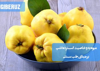 "میوه به در طب سنتی؛ غنی از ویتامین‌ها و آنتی‌اکسیدان‌ها، تقویت‌کننده دستگاه گوارش، مفید برای سلامت قلب و آرام‌بخش طبیعی