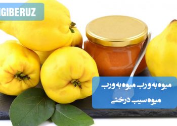 خواص میوه به، رب میوه به و رب سیب درختی بر مبنای طب سنتی برای تقویت سلامت و هضم غذا