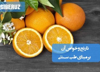 خواص درمانی نارنج بر مبنای طب سنتی؛ تقویت معده، رفع نفخ، بهبود هضم و افزایش انرژی بدن
