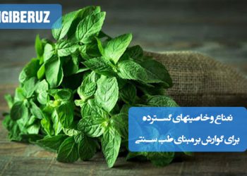 خواص نعناع برای گوارش در طب سنتی؛ بهبود هضم، کاهش نفخ، تسکین معده، رفع سوءهاضمه، تنظیم صفرا، ضدالتهاب، کمک به جذب مواد مغذی و آرامش‌بخش