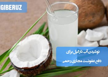 خواص نوشیدن آب نارگیل برای دفع عفونتهای مجاری رحمی و تقویت سلامت دستگاه تناسلی بانوان در طب سنتی