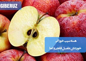 مضرات هسته سیب؛ حاوی آمیگدالین که به سیانید تبدیل می‌شود، مصرف زیاد آن ممکن است باعث مسمومیت، فلج، کاهش هوشیاری و حتی کما شود