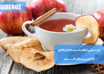 پنیسیلین گیاهی با سیب درختی بخارپز و دارچین؛ دمنوشی طبیعی با خواص ضدعفونیکننده، تقویت سیستم ایمنی، کاهش التهاب و آرامشبخش
