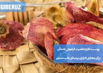پوست انار در طب سنتی؛ غنی از ترکیبات ضدالتهابی، مفید برای تقویت مجاری ادراری، کمک به دفع سموم و بهبود سلامت کلیهها