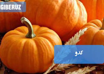 بررسی مفهوم کدوخوری در روایات؛ تفسیرهای معنوی و توصیههای طب سنتی درباره فواید کدو برای سلامت جسم