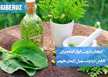 گیاهان دارویی برای کاهش درد زایمان؛ شامل سیاه‌دانه، زعفران، گل شاه‌پسند، تخم شوید، رازیانه و دمنوش‌های گیاهی آرام‌بخش