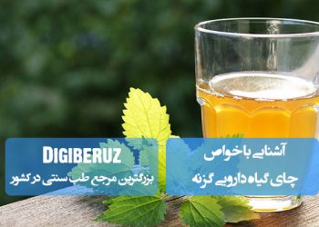 آشنایی با خواص چای گیاه دارویی گزنه