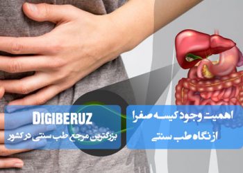 اهمیت کیسه صفرا در طب سنتی؛ نقش کلیدی در هضم چربیها، تنظیم مزاج بدن، گرم نگه داشتن معده و کبد، تأثیر در سلامت گوارش و جلوگیری از مشکلات صفراوی