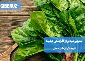 افزایش کیفیت شیر مادر در طب سنتی؛ استفاده از بادام، رازیانه، شنبلیله، شیر گرم، تغذیه مقوی و مصرف آب کافی برای بهبود تغذیه نوزاد