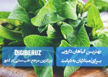 بهترین گیاهان دارویی برای دیابتی‌ها؛ دارچین، شنبلیله، خارمریم، زردچوبه، برگ زیتون، چای ترش، گزنه و آلوئه‌ورا، موثر در تنظیم قند خون و بهبود عملکرد انسولین