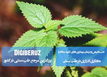 تشخیص و درمان بیماری های کلیه، مثانه و مجاری ادراری در طب سنتی